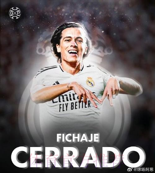 塞尔:即使出售瓦拉内 皇马也不会引进保-托雷斯 塞尔:即使出售瓦拉内 皇马也不会引进保-托雷斯